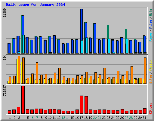 Daily usage for January 2024