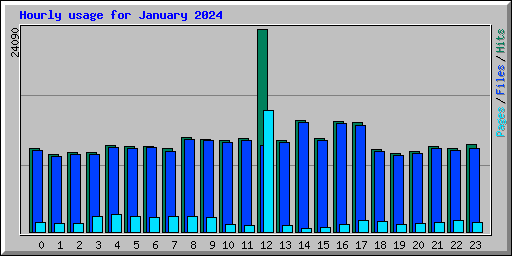 Hourly usage for January 2024
