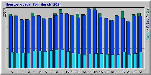 Hourly usage for March 2024