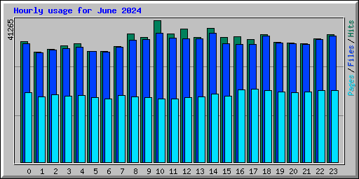 Hourly usage for June 2024