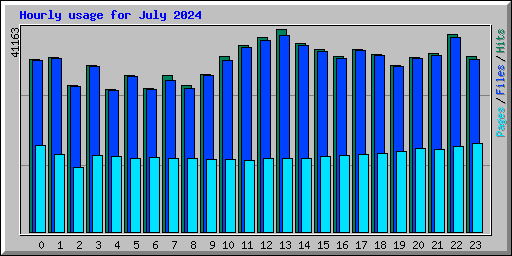 Hourly usage for July 2024