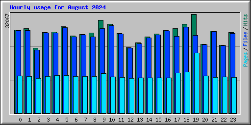Hourly usage for August 2024