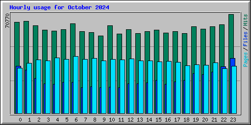 Hourly usage for October 2024