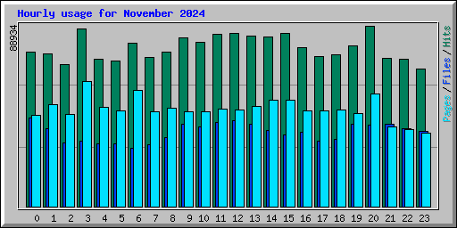 Hourly usage for November 2024